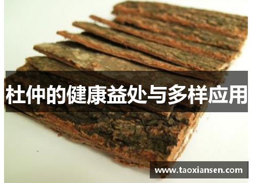 杜仲的健康益处与多样应用