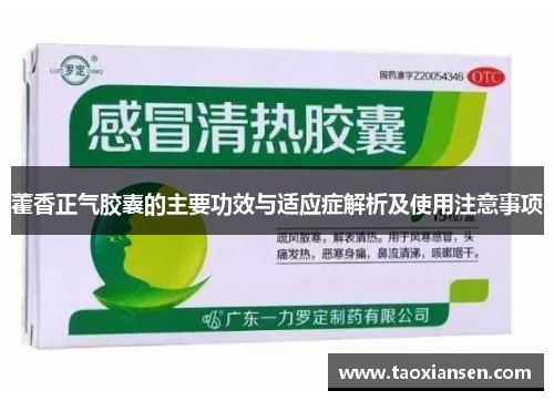 藿香正气胶囊的主要功效与适应症解析及使用注意事项